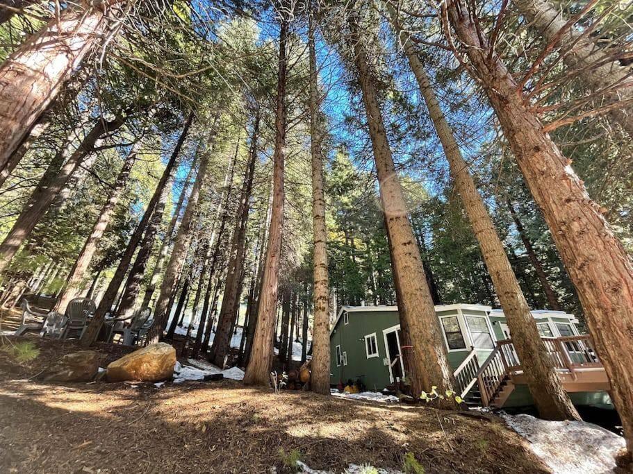 Cedar Oasis - Home Base To Big Trees Арнолд Екстериор снимка